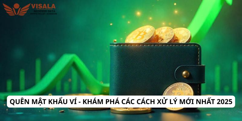 Quên mật khẩu ví - Khám phá các cách xử lý mới nhất 2025